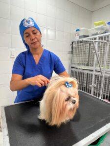 veterinarios en cali