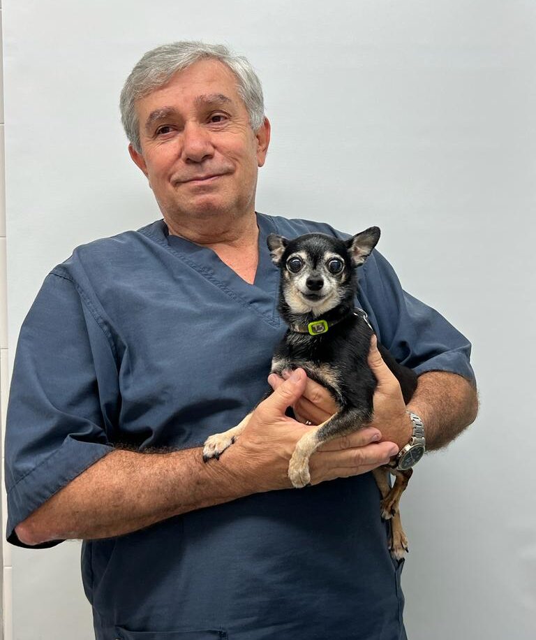 veterinarias cali