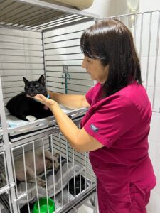 clinica veterinaria en cali