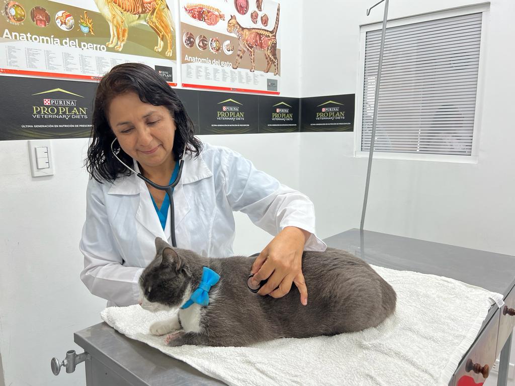 Veterinarias Cali - Caninos y felinos -Servicio a Domicilio
