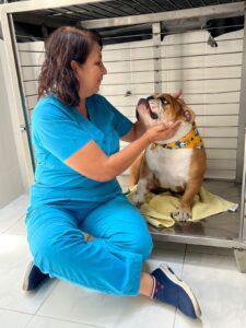 veterinarias cali