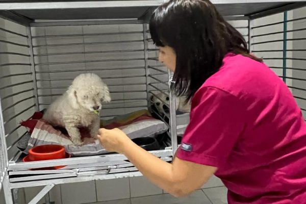 clinica veterinaria en cali