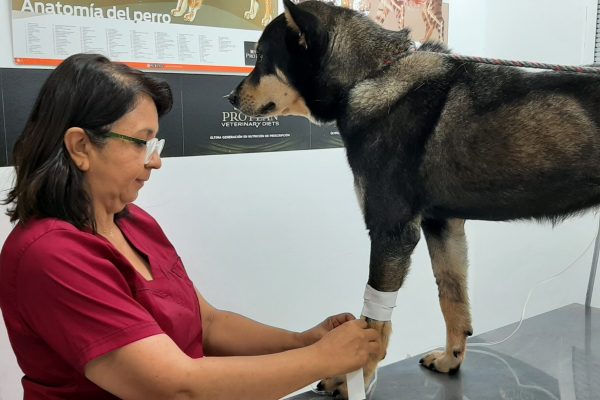 clinica veterinaria en cali
