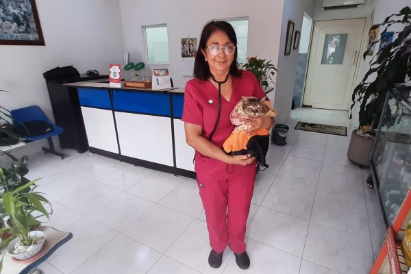 clinica veterinaria en cali