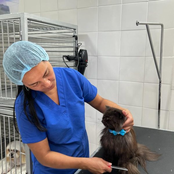 veterinarias cali