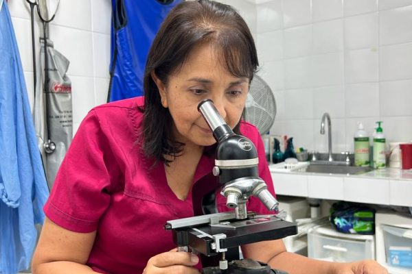 veterinarios en cali