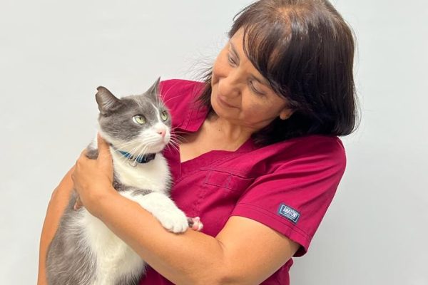 veterinarios en cali