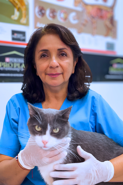 veterinaria en Cali