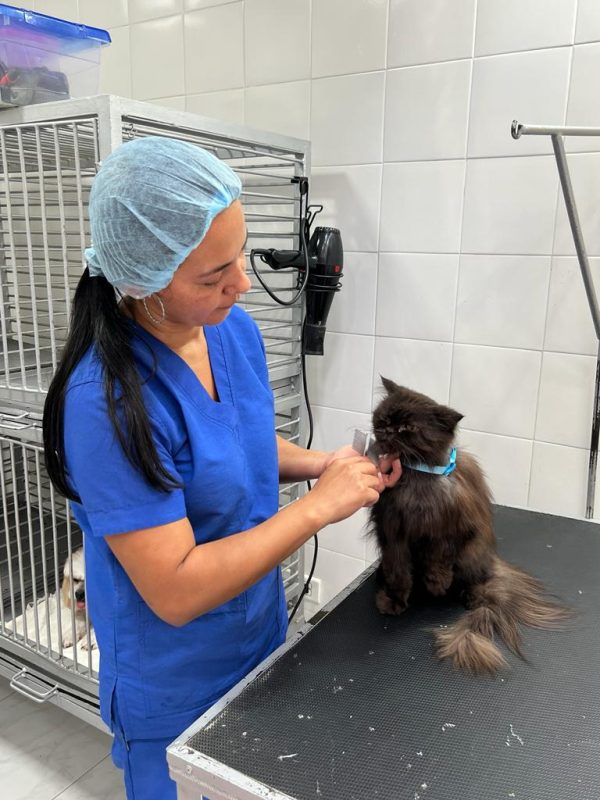 veterinarias cali